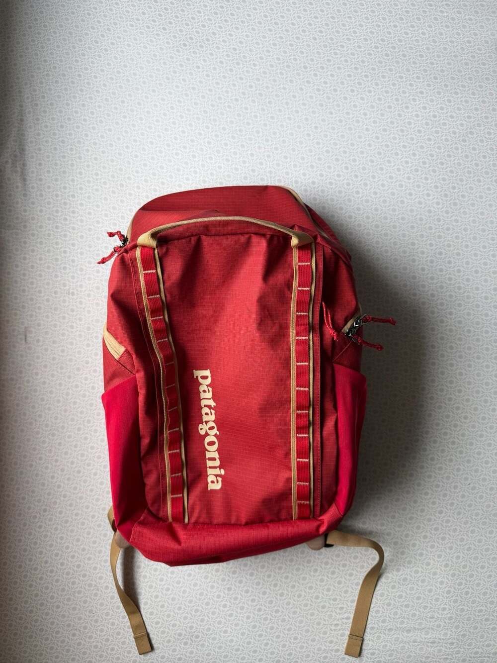 Patagonia Black Hole Pack 32L Red Backpack